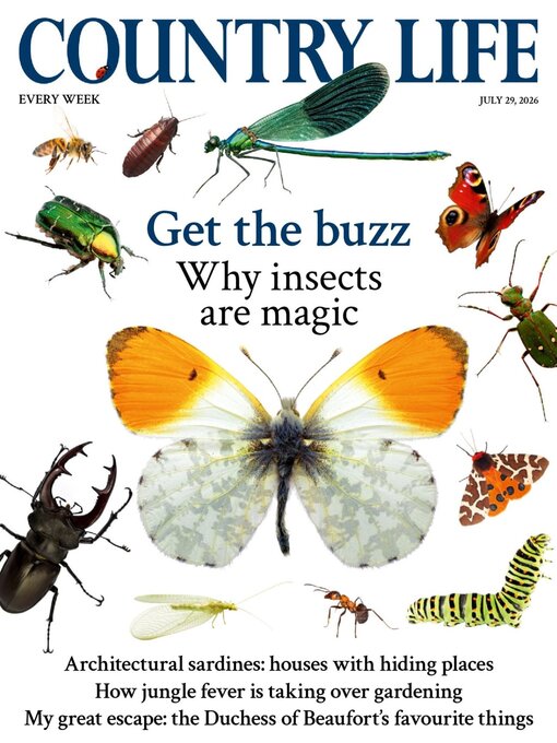 Cover image for Country Life